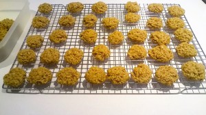 oatmeal cookies