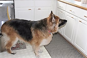 Liza full figure small