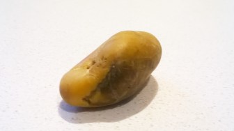 potato 3