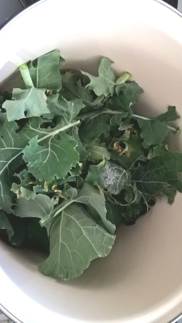 kale