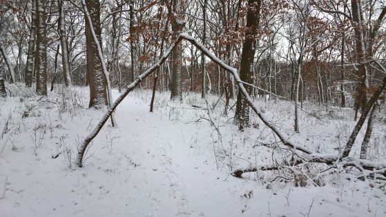 wp_20170126_08_01_01_pro